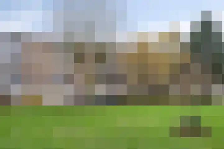Schubertlaan 144 Leiden thumbnail 24