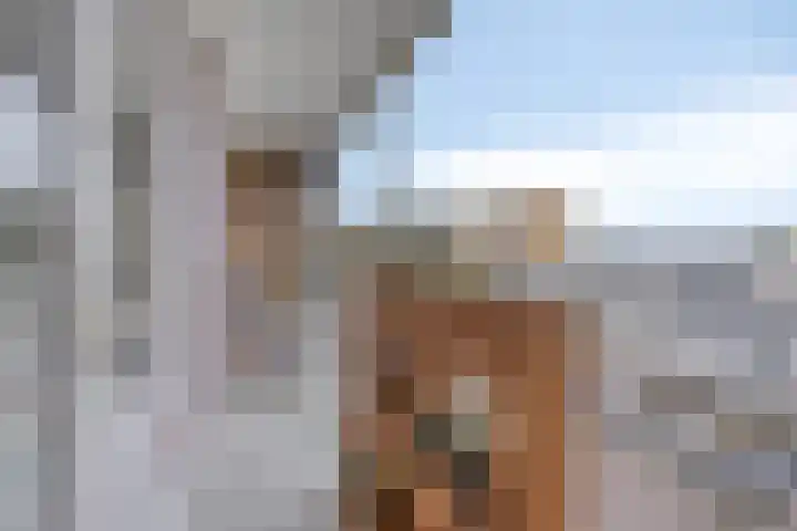 Schubertlaan 144 Leiden thumbnail 7