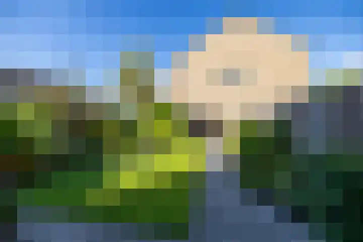 Schubertlaan 15 Groningen thumbnail 13