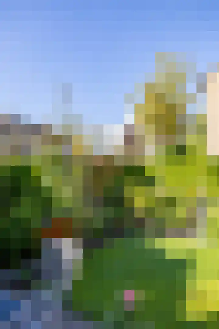 Schubertlaan 15 Groningen thumbnail 15