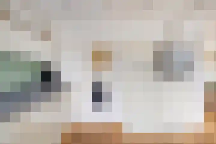 Schubertlaan 17 Groningen thumbnail 17