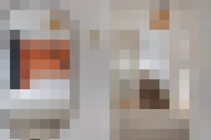Schubertlaan 17 Groningen thumbnail 23