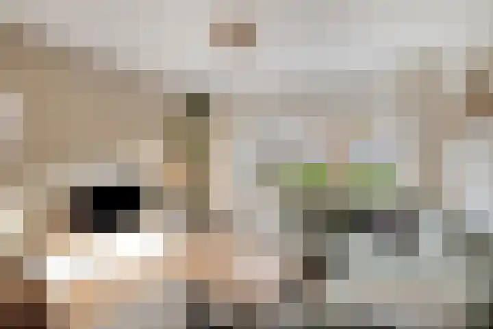 Schubertlaan 17 Groningen thumbnail 8