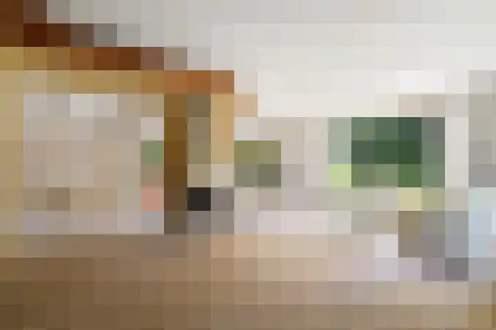 Schubertlaan 2 Leidschendam thumbnail 13