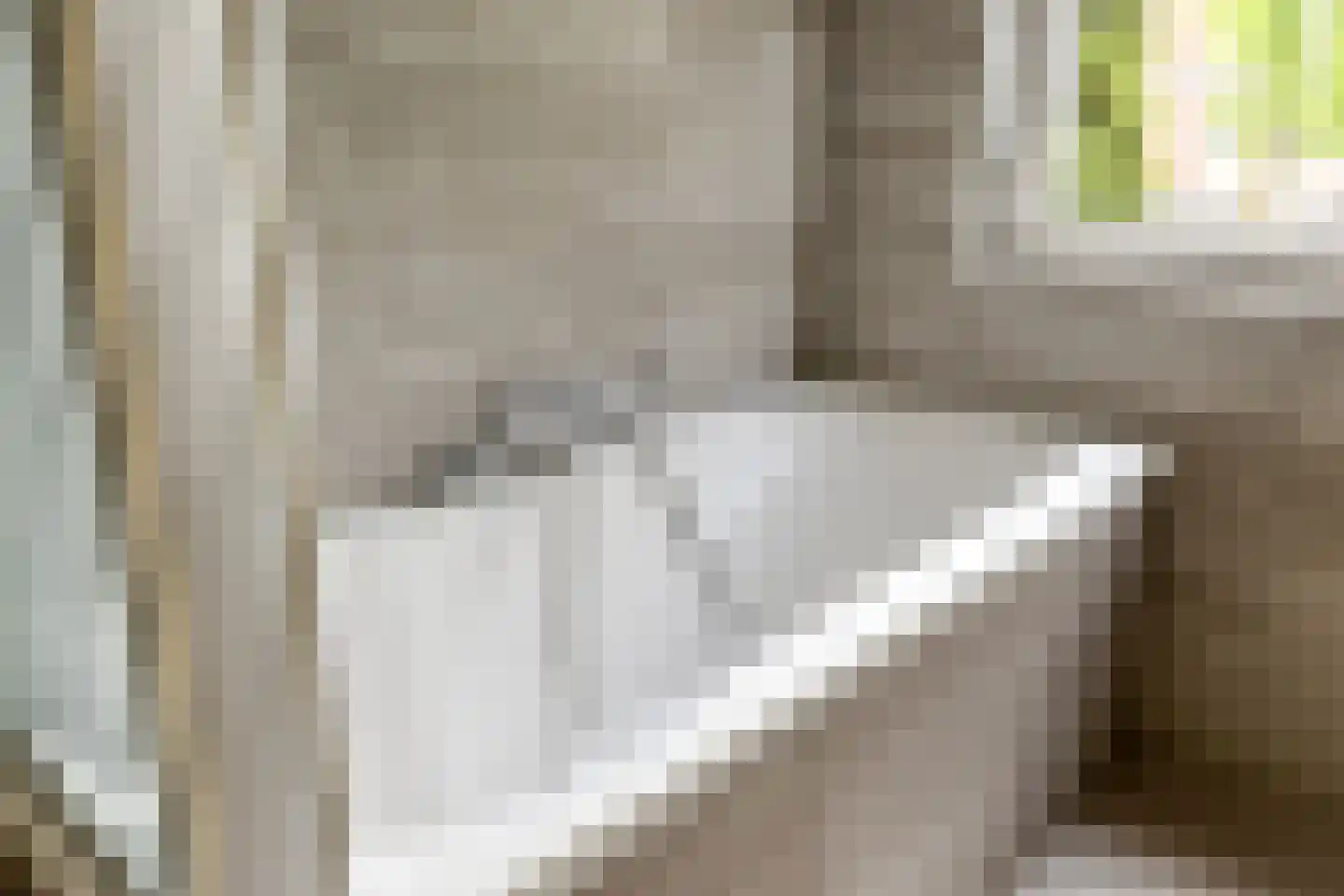 Schubertlaan 24 Eindhoven thumbnail 19