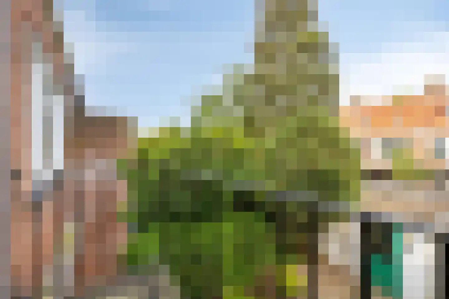 Schubertlaan 24 Eindhoven thumbnail 30