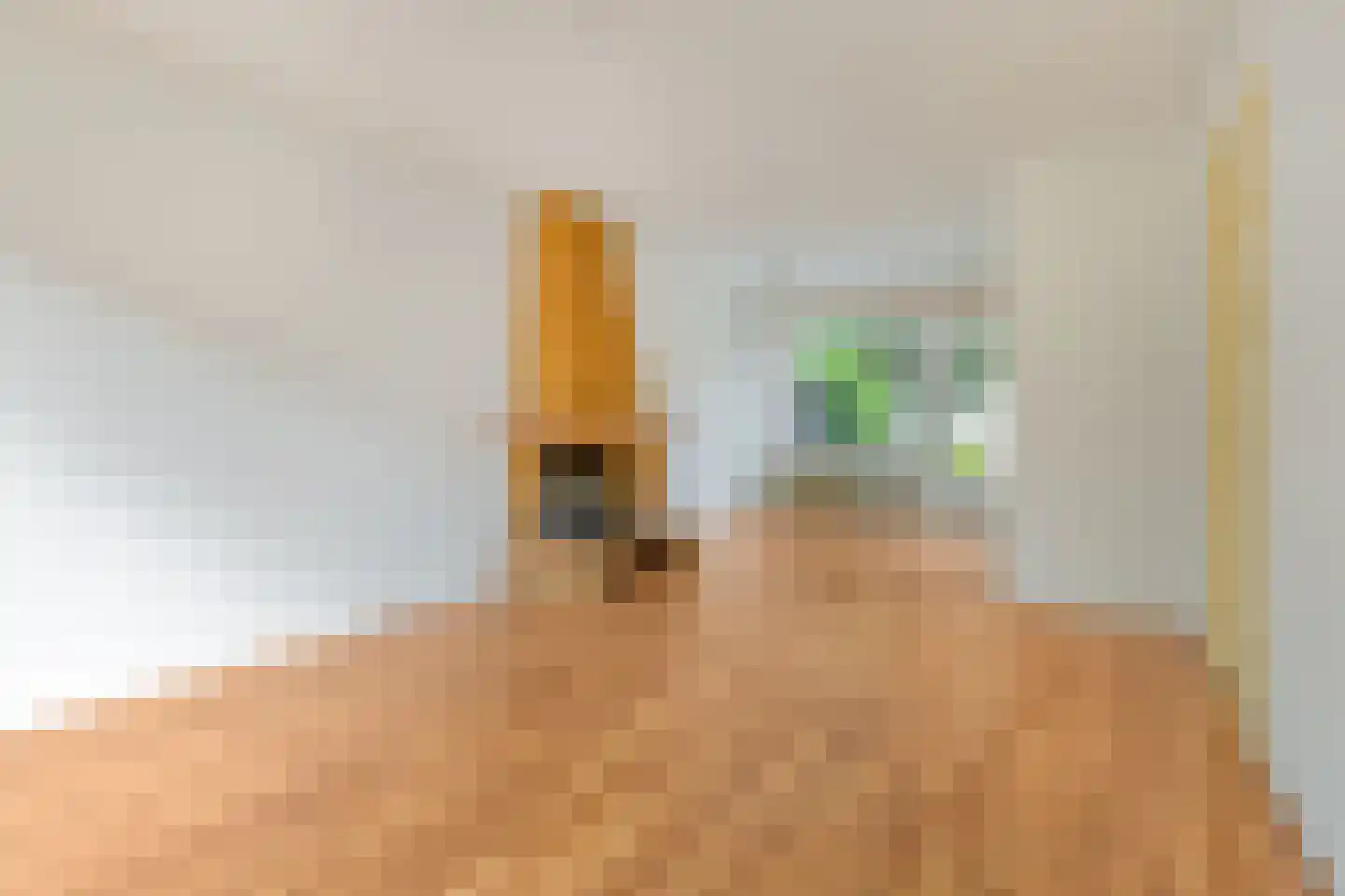 Schubertlaan 24 Eindhoven thumbnail 5