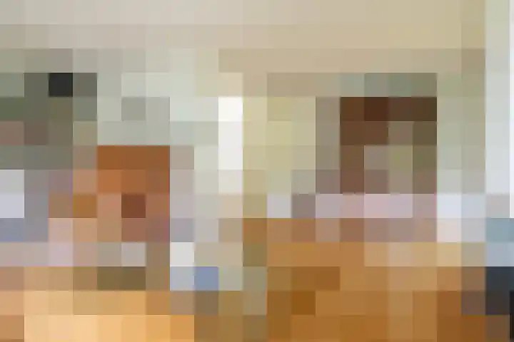 Schubertlaan 28 Breda thumbnail 17