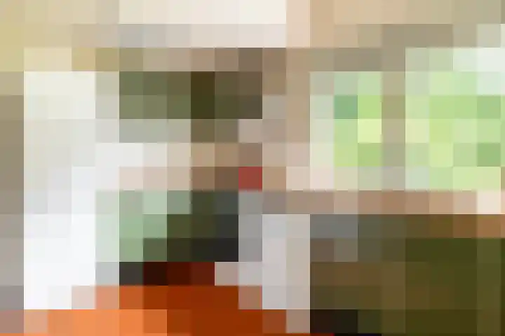 Schubertlaan 28 Breda thumbnail 21