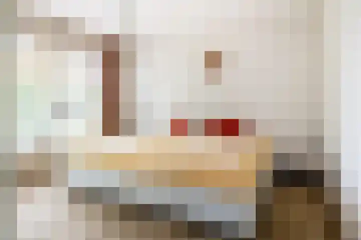 Schubertlaan 28 Breda thumbnail 31