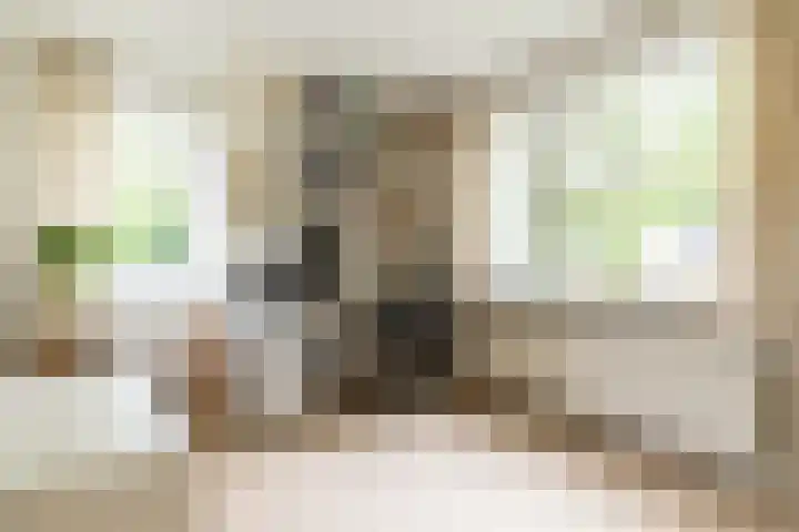 Schubertlaan 28 Breda thumbnail 33