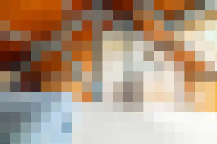 Schubertlaan 28 Breda thumbnail 36