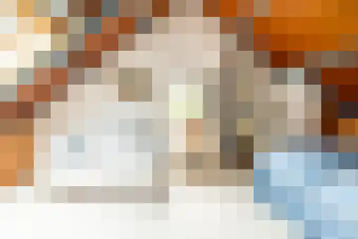 Schubertlaan 28 Breda thumbnail 38