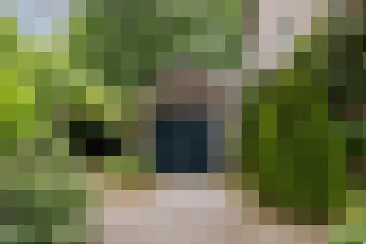 Schubertlaan 28 Breda thumbnail 42