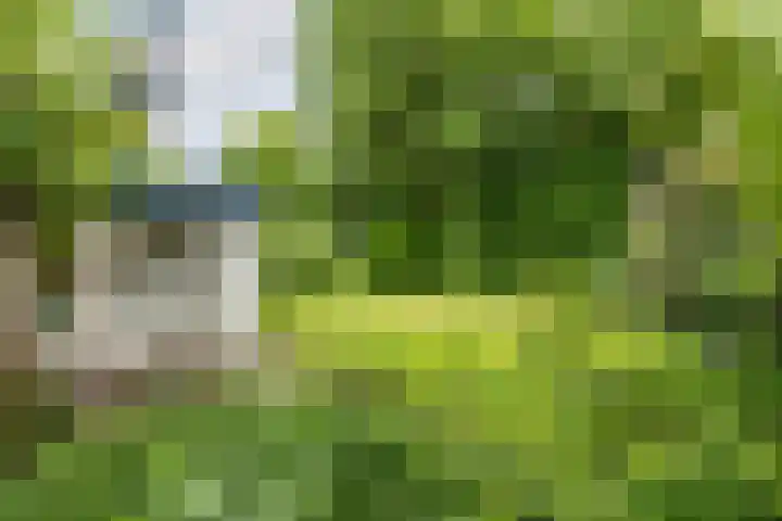 Schubertlaan 28 Breda thumbnail 43