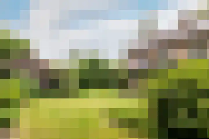 Schubertlaan 28 Breda thumbnail 45