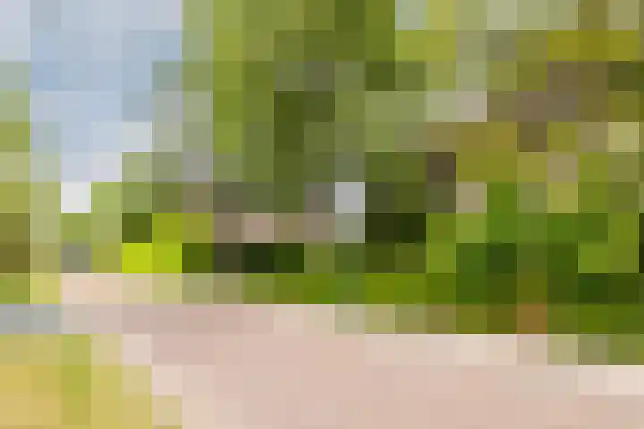 Schubertlaan 28 Breda thumbnail 46