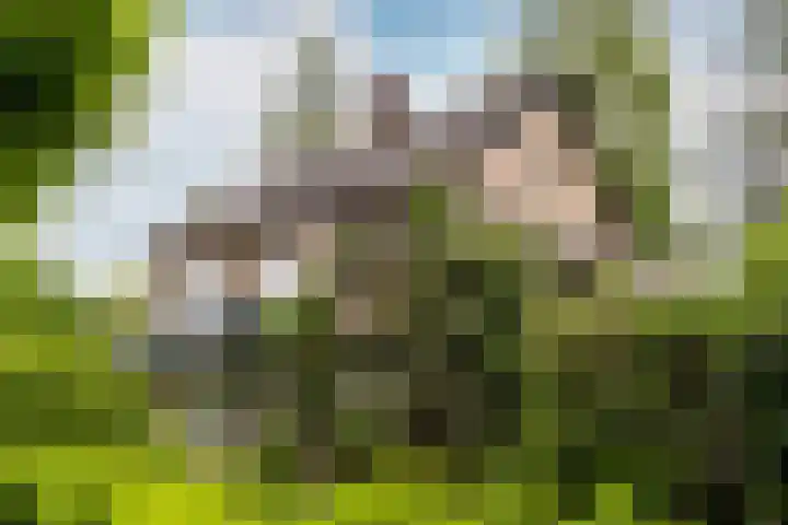 Schubertlaan 28 Breda thumbnail 47