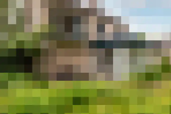 Schubertlaan 28 Breda thumbnail 49