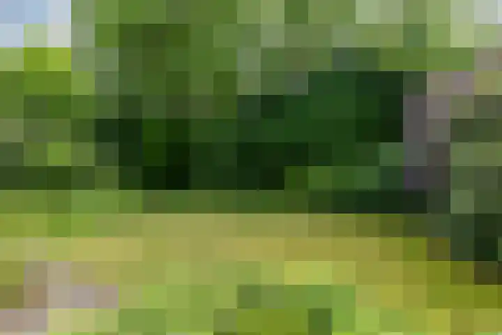 Schubertlaan 28 Breda thumbnail 50
