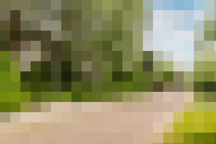 Schubertlaan 28 Breda thumbnail 51
