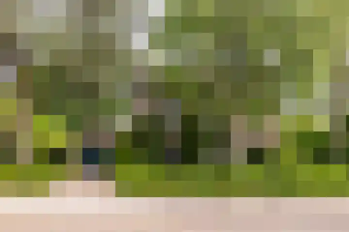 Schubertlaan 28 Breda thumbnail 8