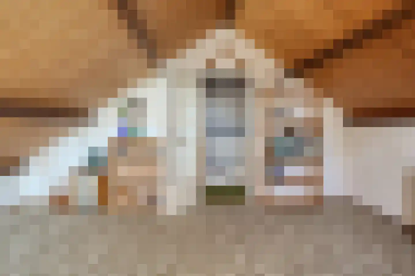 Schubertlaan 29 Assen thumbnail 33