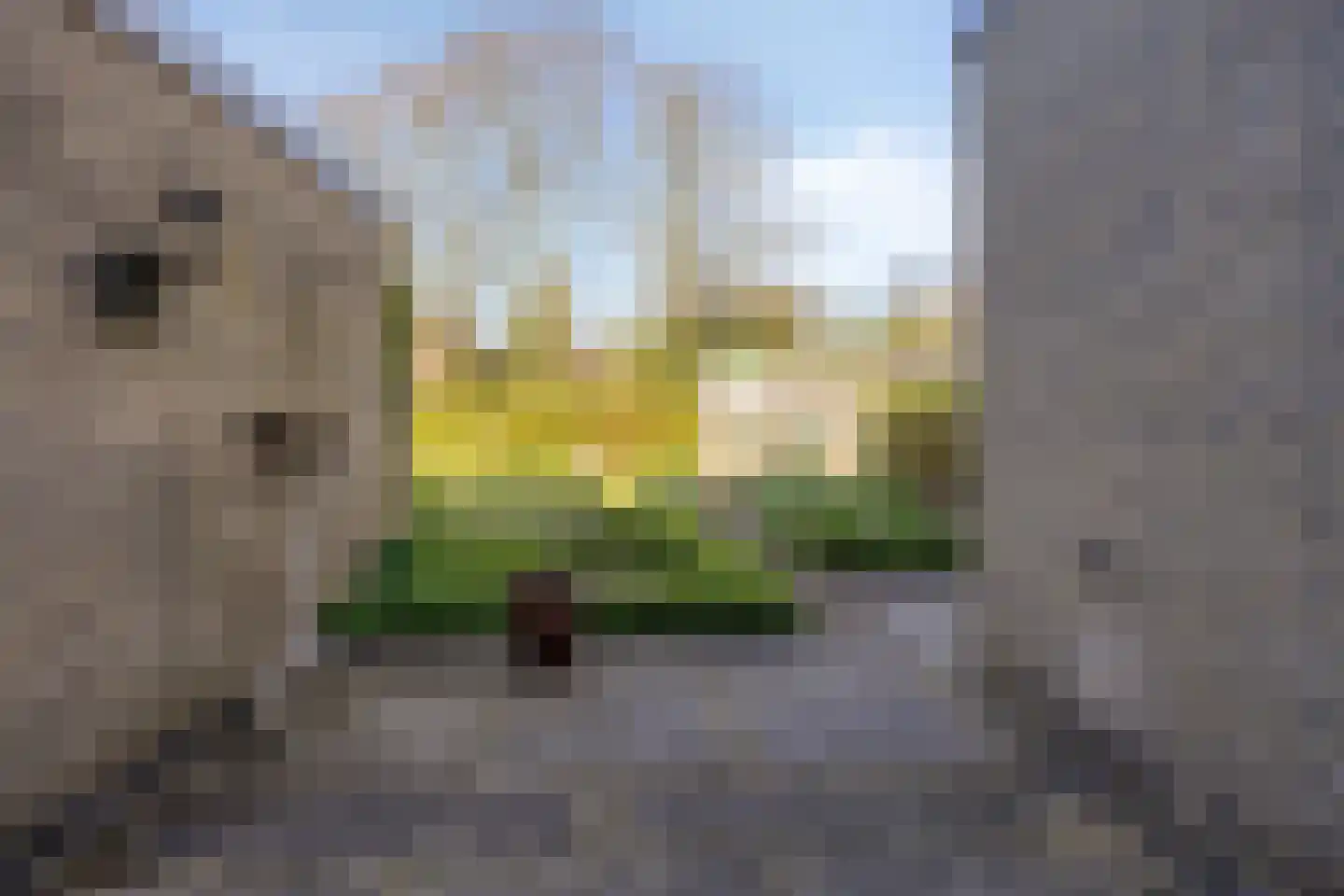 Schubertlaan 29 Assen thumbnail 34