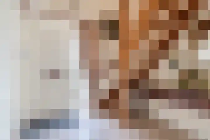 Schubertlaan 3 Helmond thumbnail 7