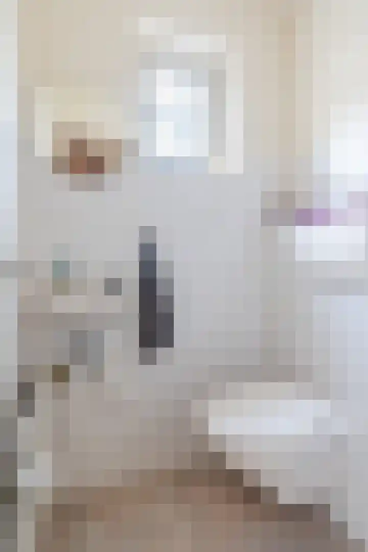 Schubertlaan 3 Helmond thumbnail 9