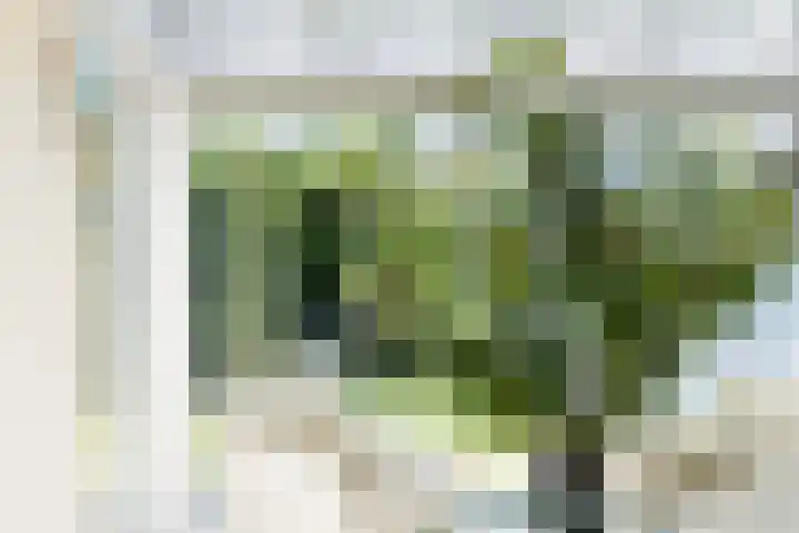 Schubertlaan 3 Vlissingen thumbnail 19