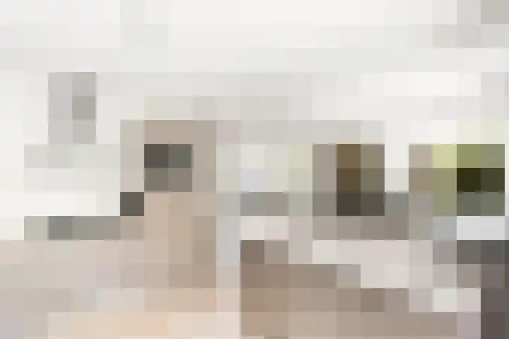 Schubertlaan 3 Vlissingen thumbnail 20
