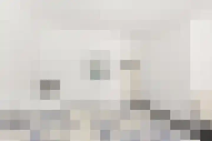 Schubertlaan 3 Vlissingen thumbnail 27