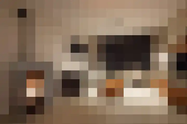 Schubertlaan 30 Assen thumbnail 31