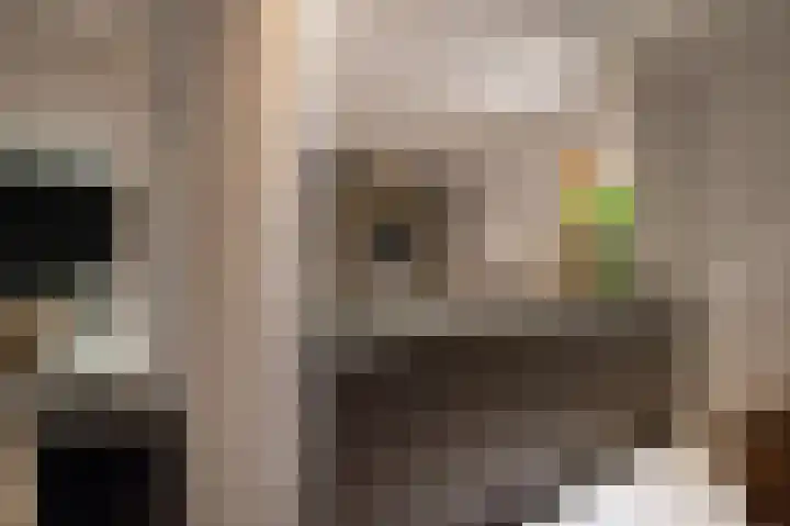 Schubertlaan 30 Assen thumbnail 37