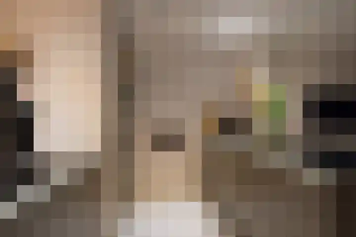 Schubertlaan 30 Assen thumbnail 38
