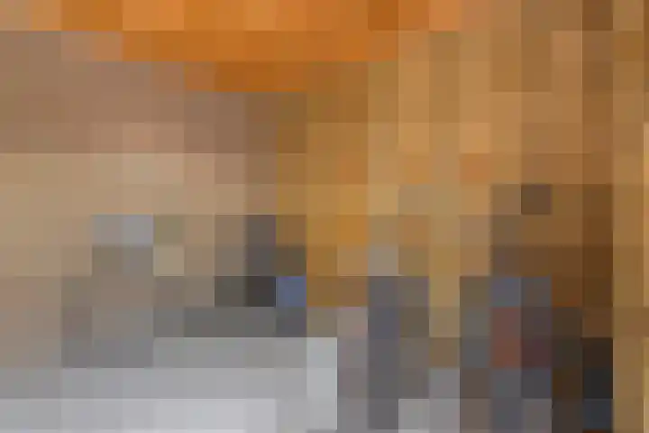 Schubertlaan 307 C Eindhoven thumbnail 12