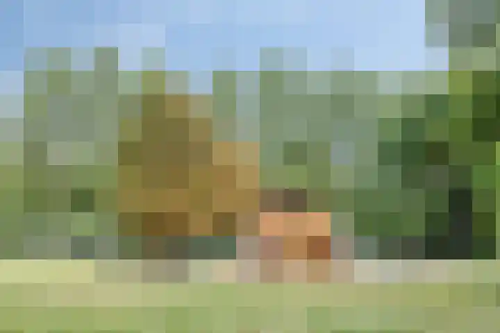 Schubertlaan 307 C Eindhoven thumbnail 15