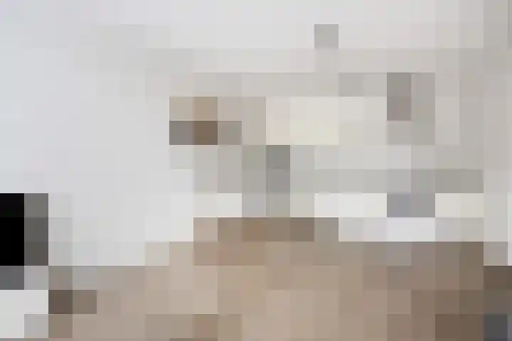 Schubertlaan 307 C Eindhoven thumbnail 5