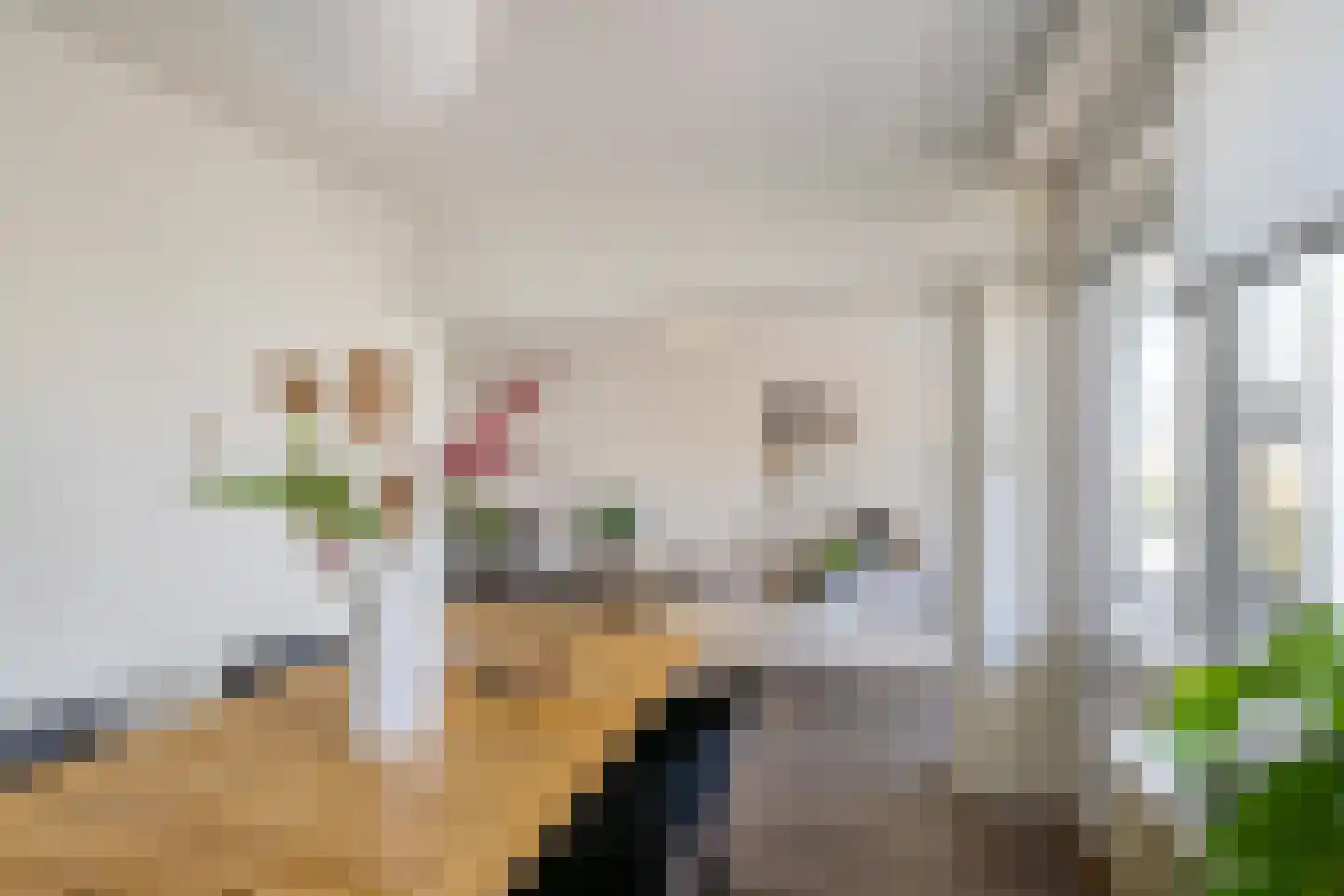 Schubertlaan 32 Groningen thumbnail 8