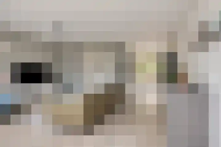 Schubertlaan 36 Nieuw-Vennep thumbnail 6
