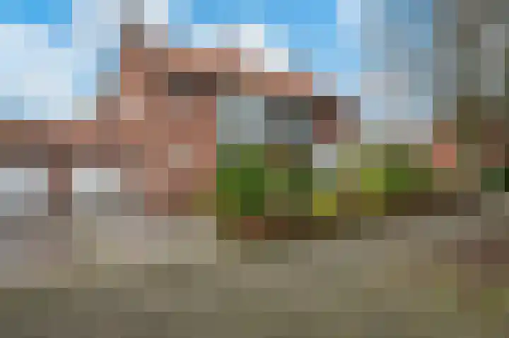 Schubertlaan 38 A Apeldoorn thumbnail 26