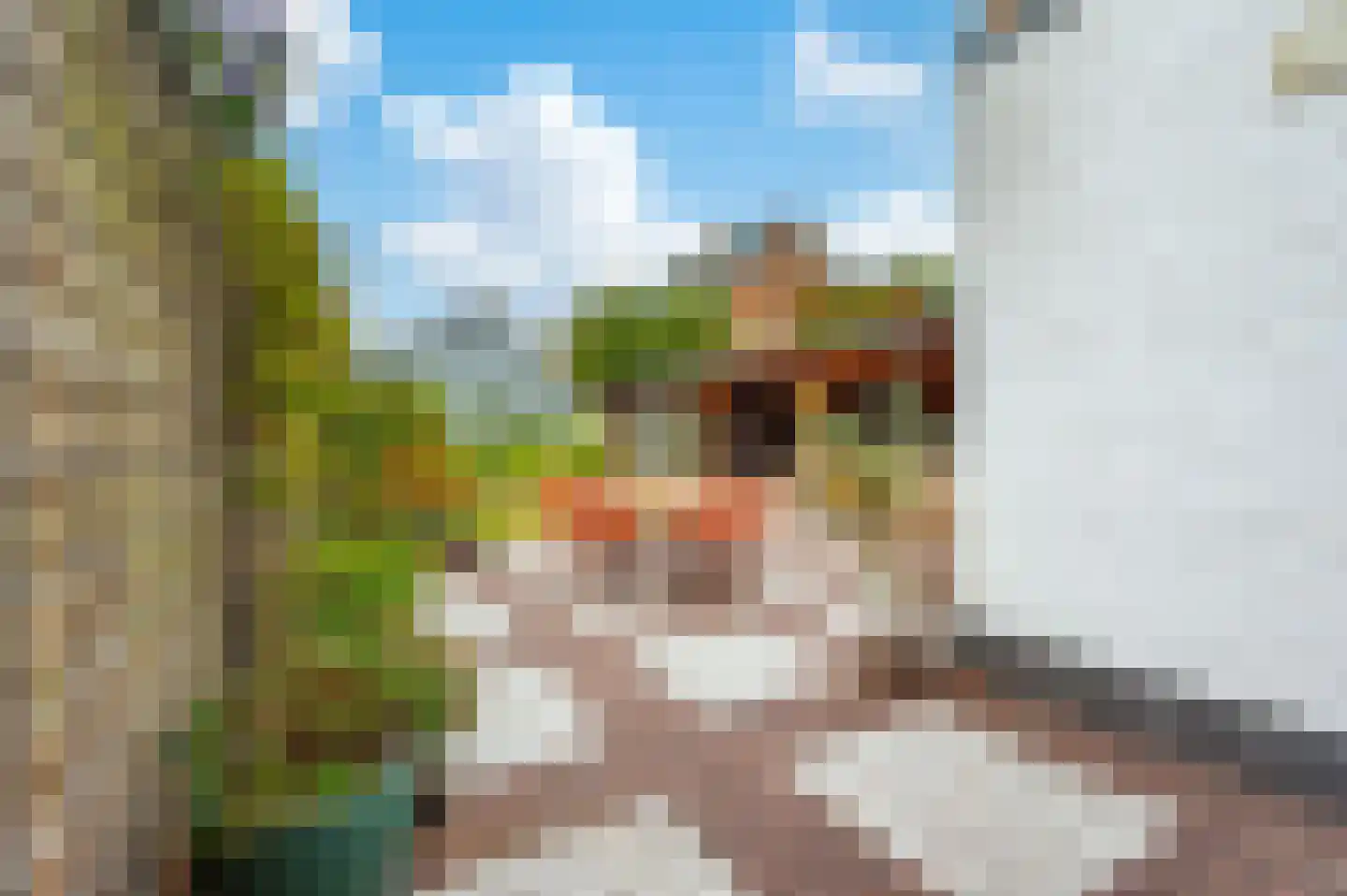 Schubertlaan 40 Apeldoorn thumbnail 23