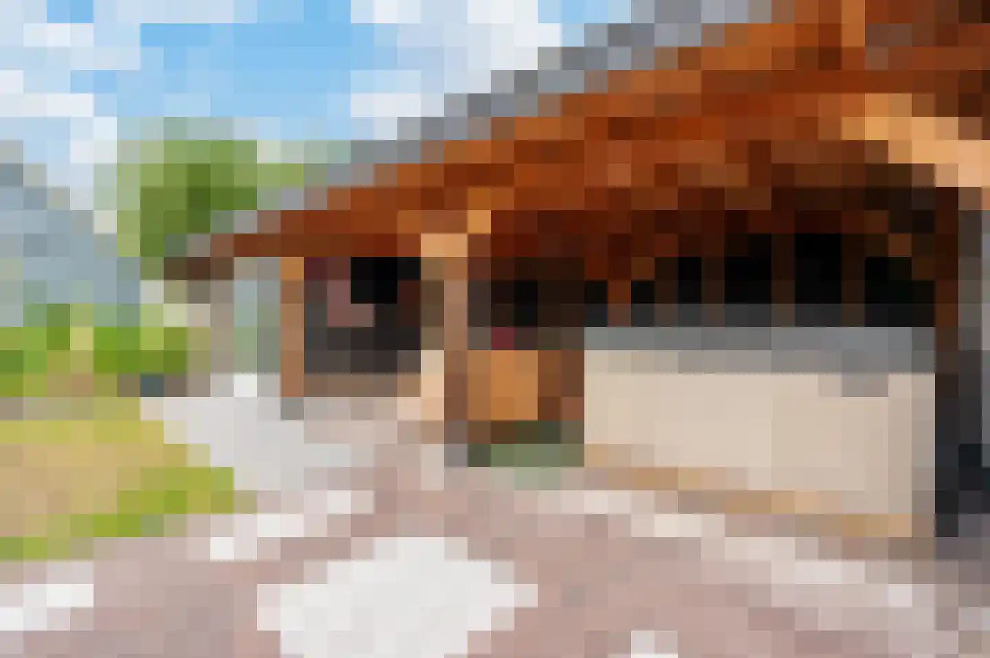 Schubertlaan 40 Apeldoorn thumbnail 26