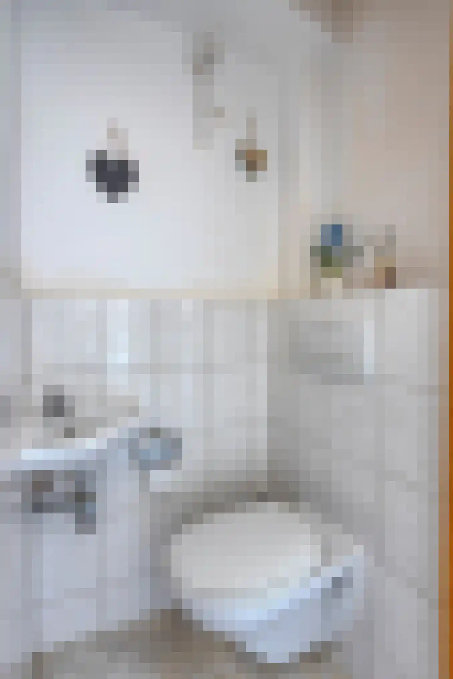 Schubertlaan 40 Eindhoven thumbnail 8