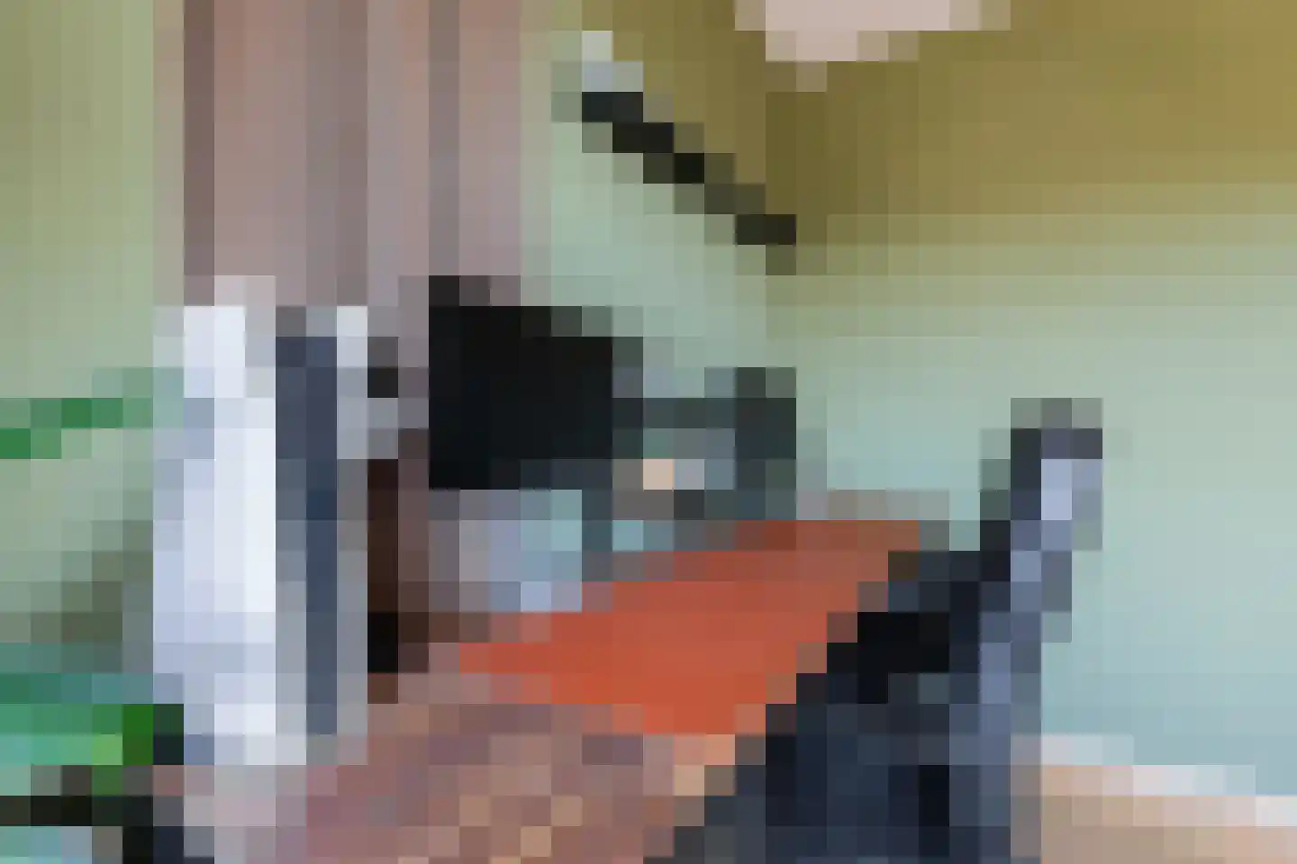 Schubertlaan 44 Groningen thumbnail 16