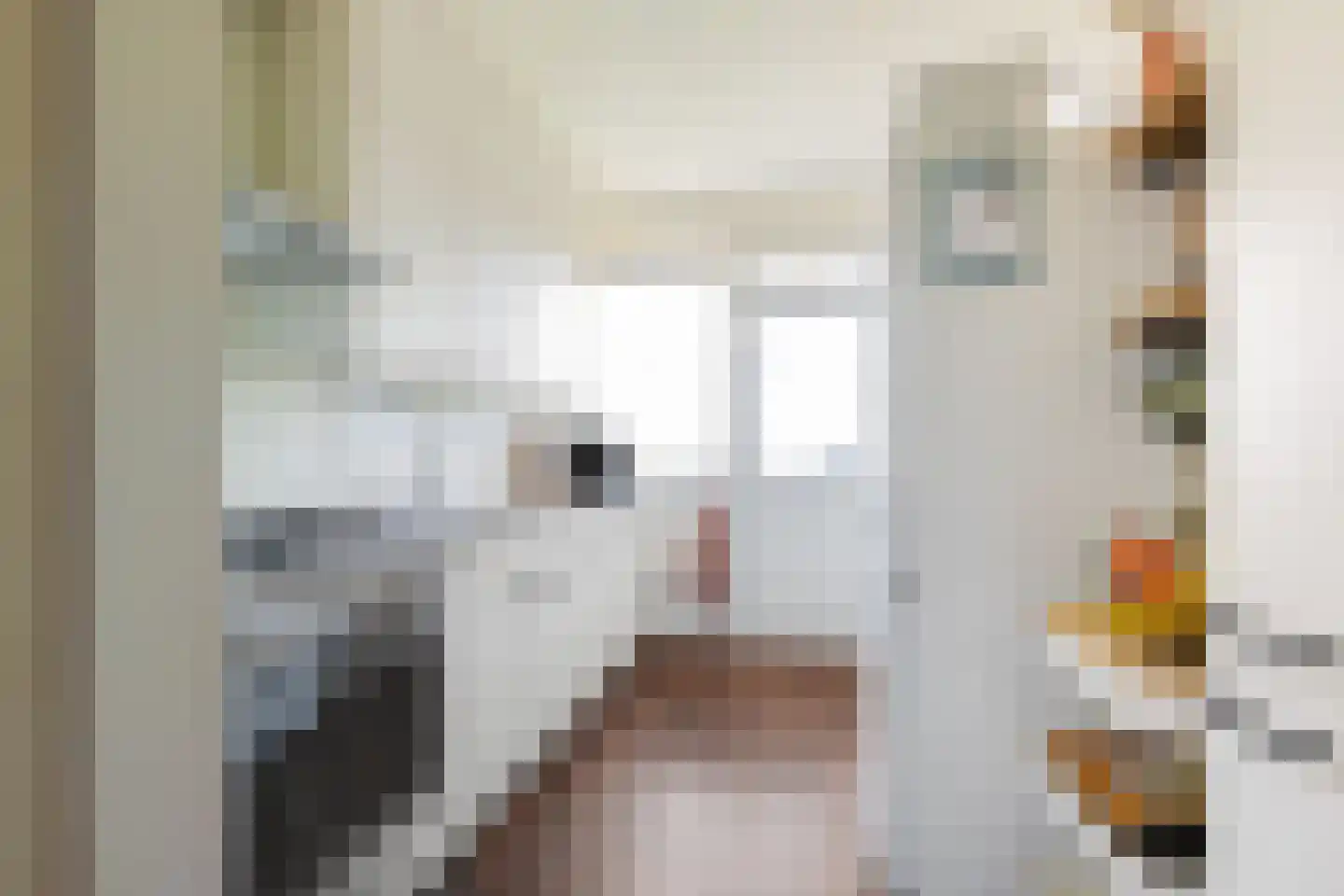 Schubertlaan 44 Groningen thumbnail 21