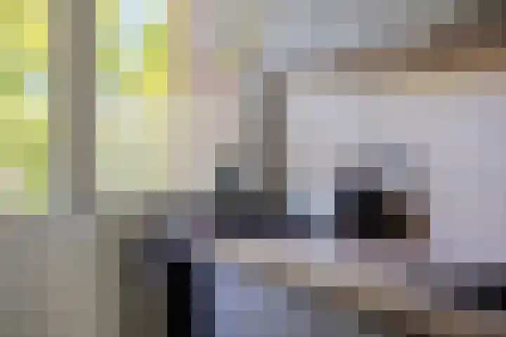 Schubertlaan 6 b Roosendaal thumbnail 15