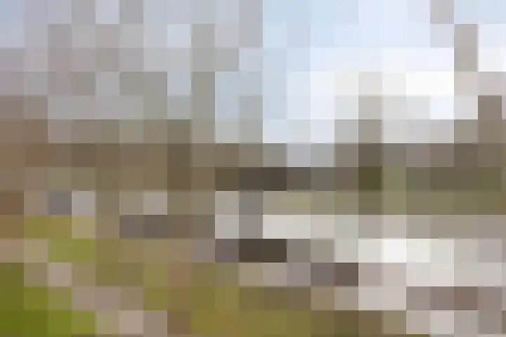 Schubertlaan 6 b Roosendaal thumbnail 20