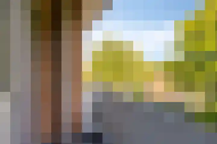 Schubertlaan 6 b Roosendaal thumbnail 27